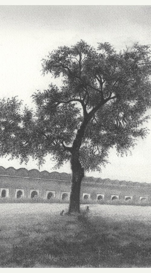 Indian Lilac Tree by Shweta Mahajan