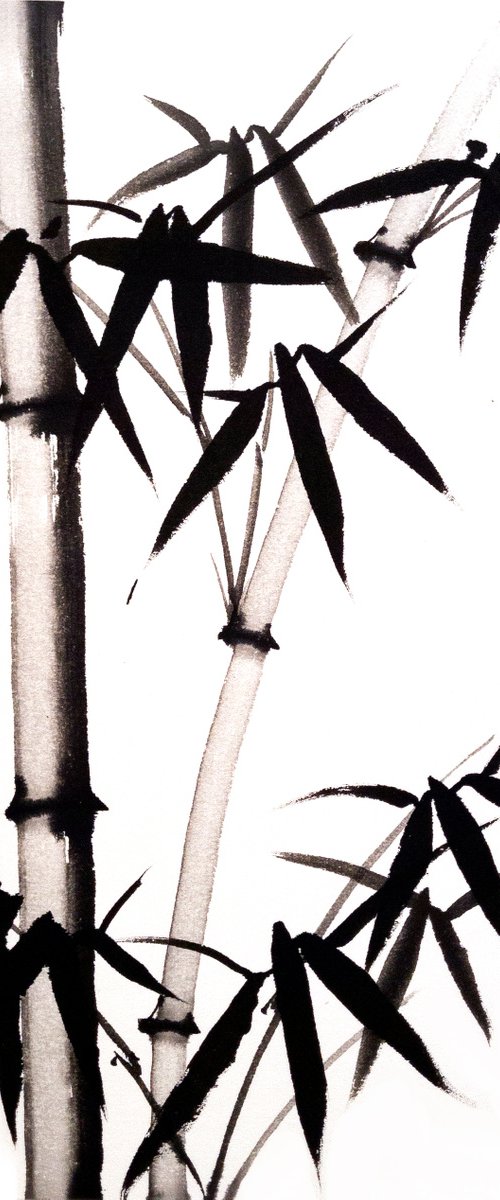 Bamboo forest - Bamboo series No. 2126 - Oriental Chinese Ink Painting by Ilana Shechter