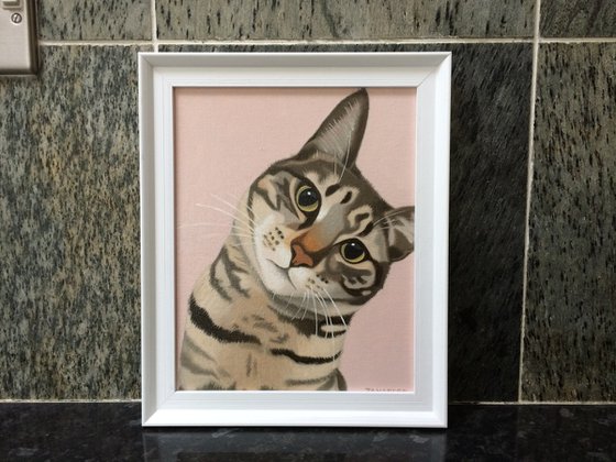 Doolally Cat