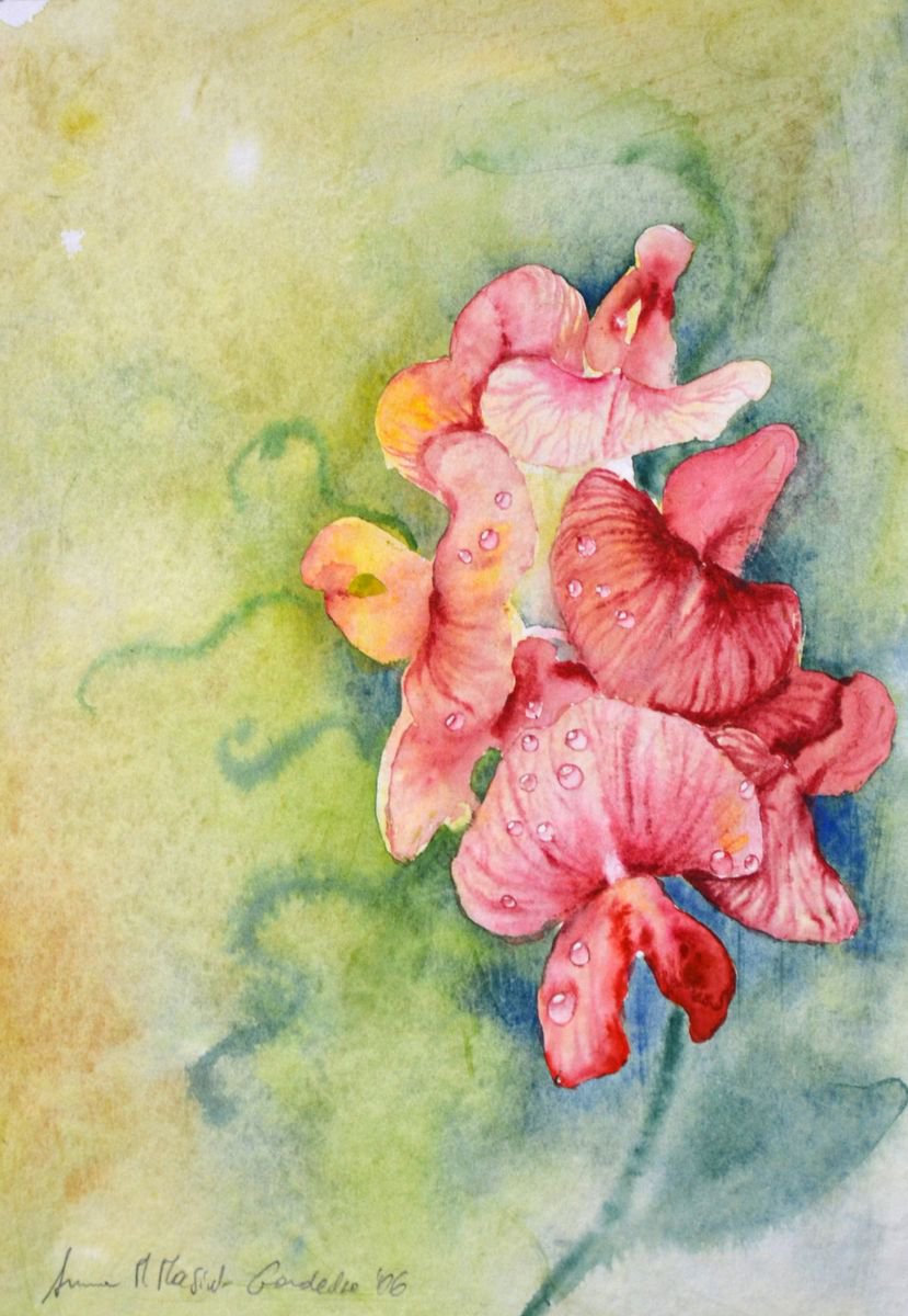 Spring Flowers 6 by Anna Masiul-Gozdecka