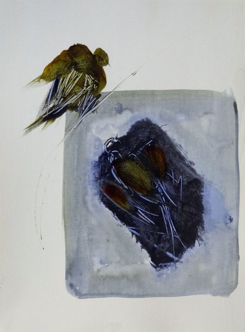 Flying Birds 11, 40x30 cm by Frederic Belaubre
