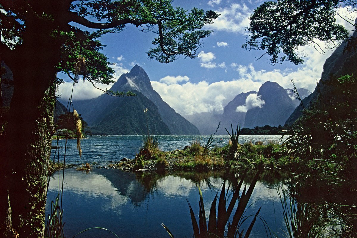 Photorealistic Landscape Photograph By Alex Cassels, 24 X 17, Fiordland, Original Artwork