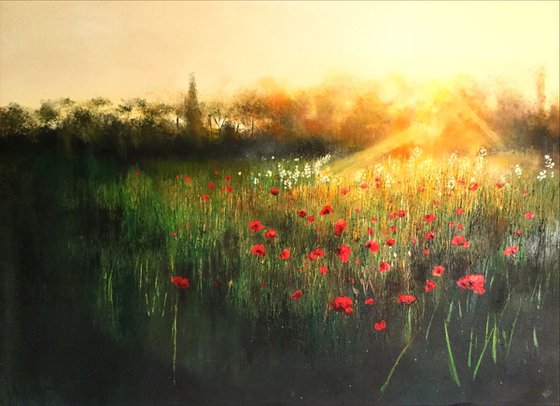Poppies by Sunset