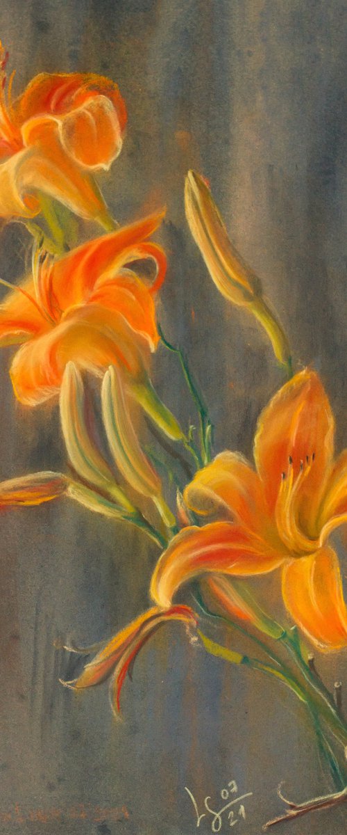 Orange daylily, 3 flowers and buds by SVITLANA LAGUTINA