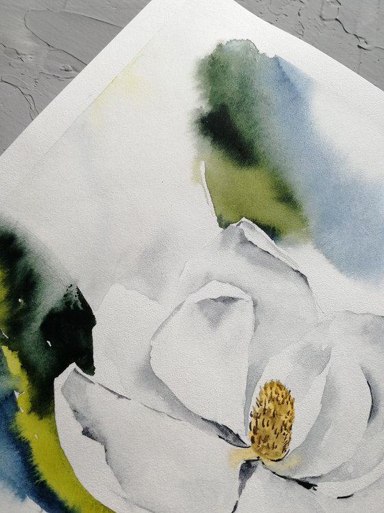 Magnolia painting. Blossoms painting