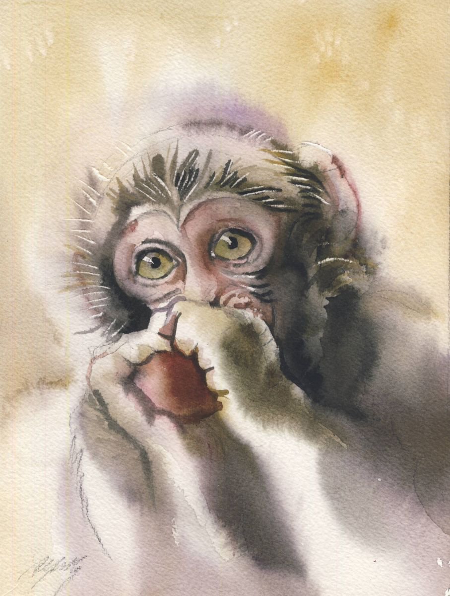 Baby Monkey by Alfred Ng