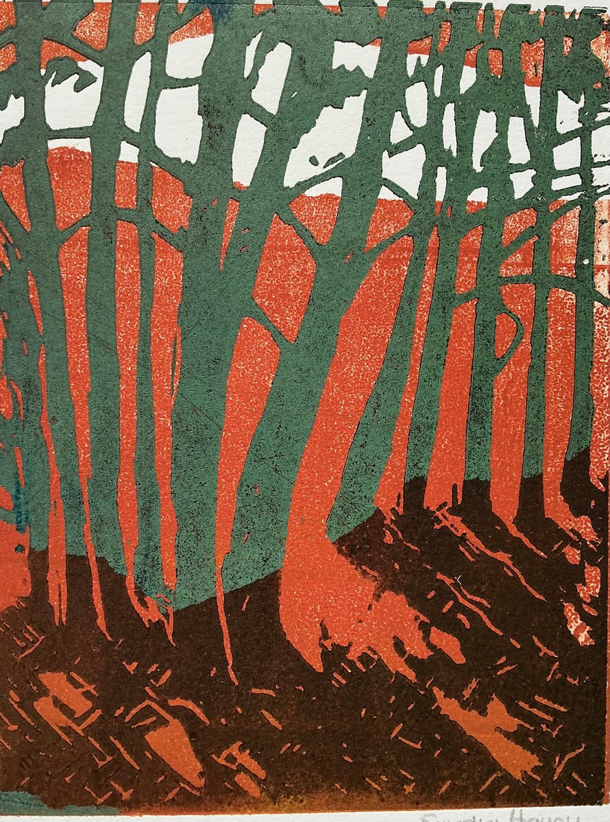 Organic Linocut , Trees And Shadows By Sandra Haney, 6 X 8, Artwork For Sale On Artfinder