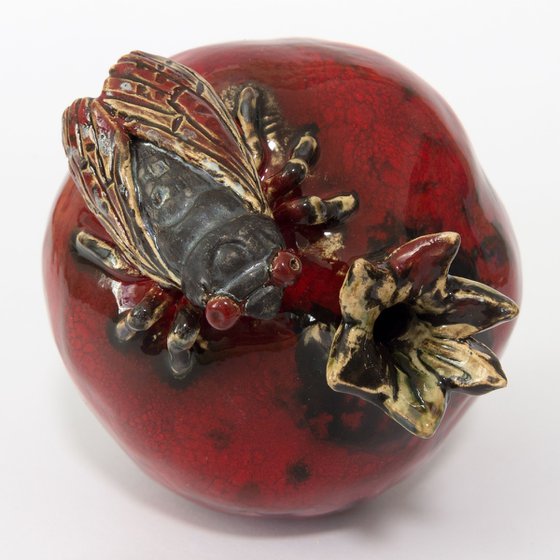 Cicada and pomegranate