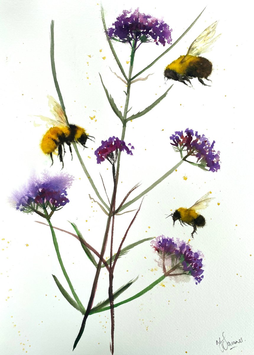 Bees & Verbena Bonariensis by Teresa Tanner