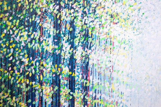 Sunlit Summer Forest Path
