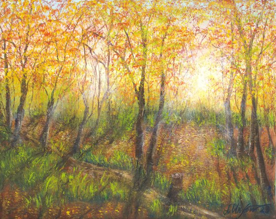 The autumnal forest