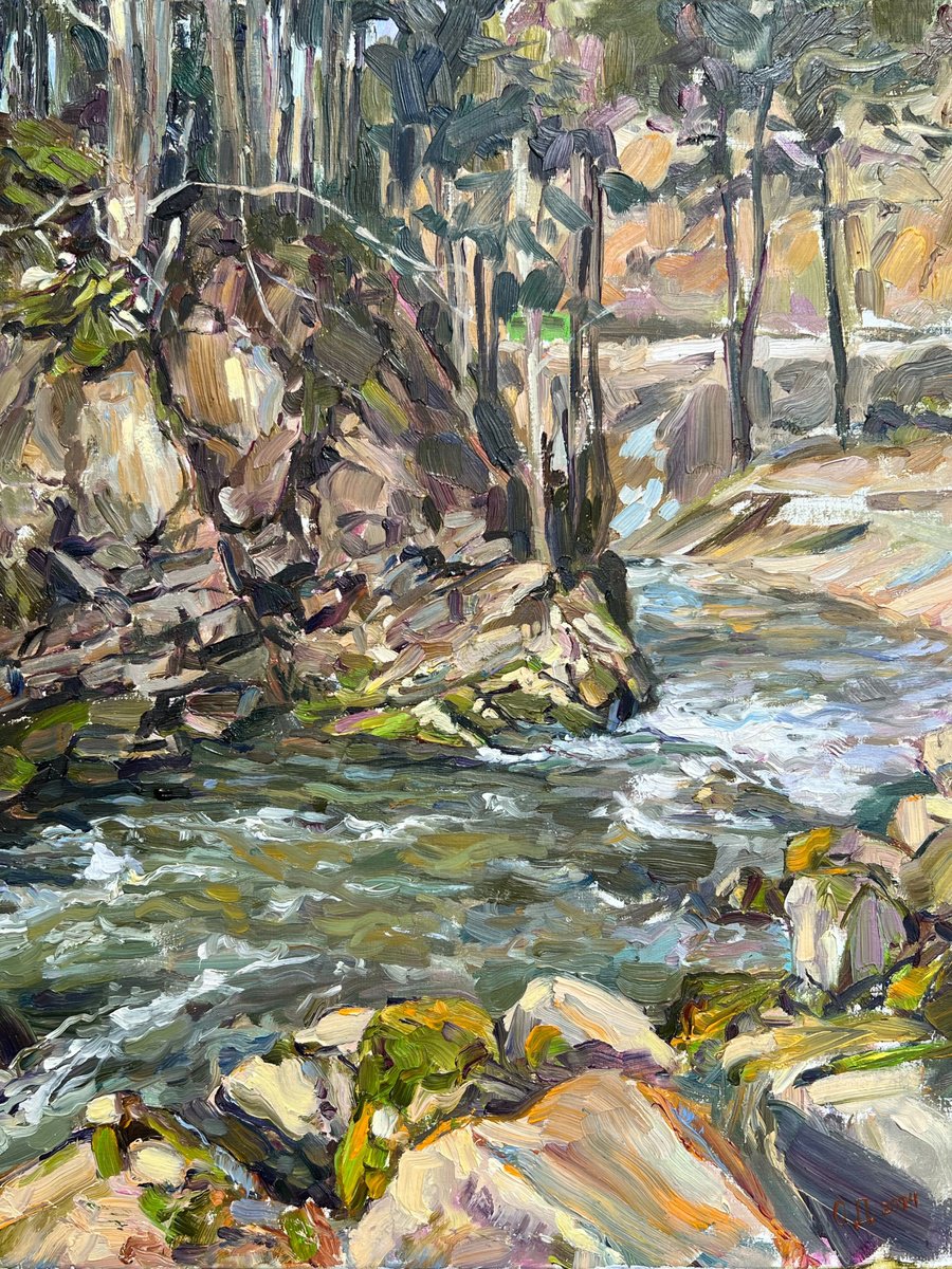 Impressionistic Landscape Oil Painting By Olha Dashkevych, 16 X 20", Above The Waterfall Kamianka, Original Artwork