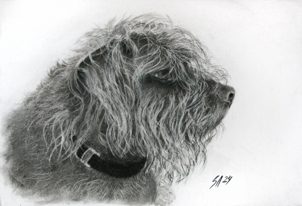 Impressionistic Animal Charcoal Drawing By Salana Art / Svetlana Samovarova, 11 X 8", Dog 4.11, Original Artwork