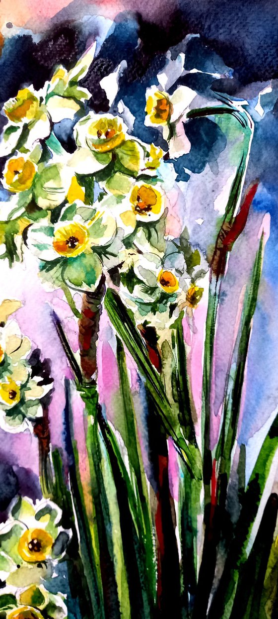 Narcissus florals