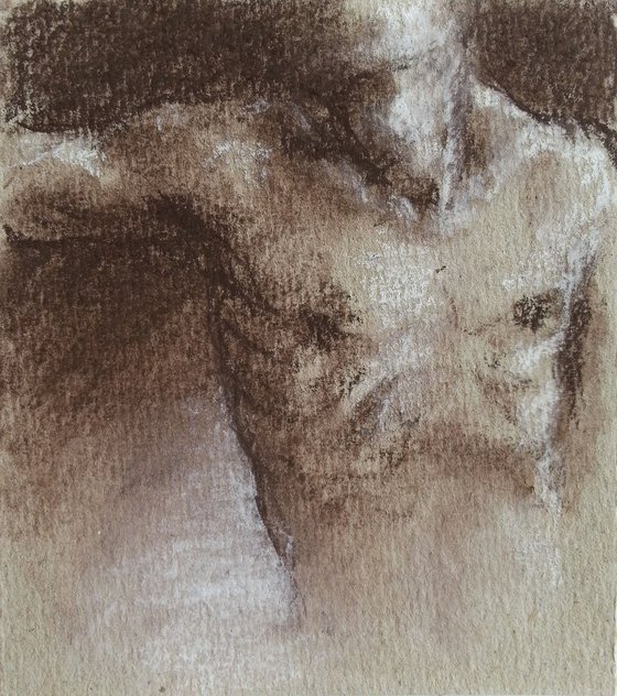 Set of 4 miniatures sketches of male nude body - chest - back - sanguine pastel drawing