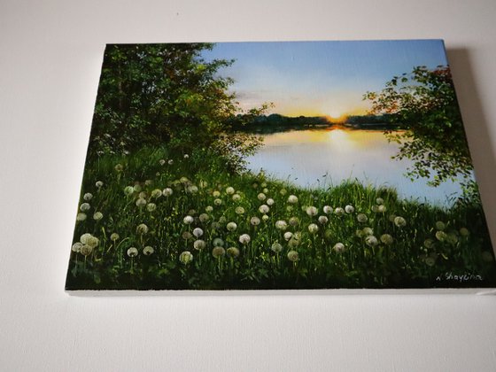 Dandelion Meadow at Sunset
