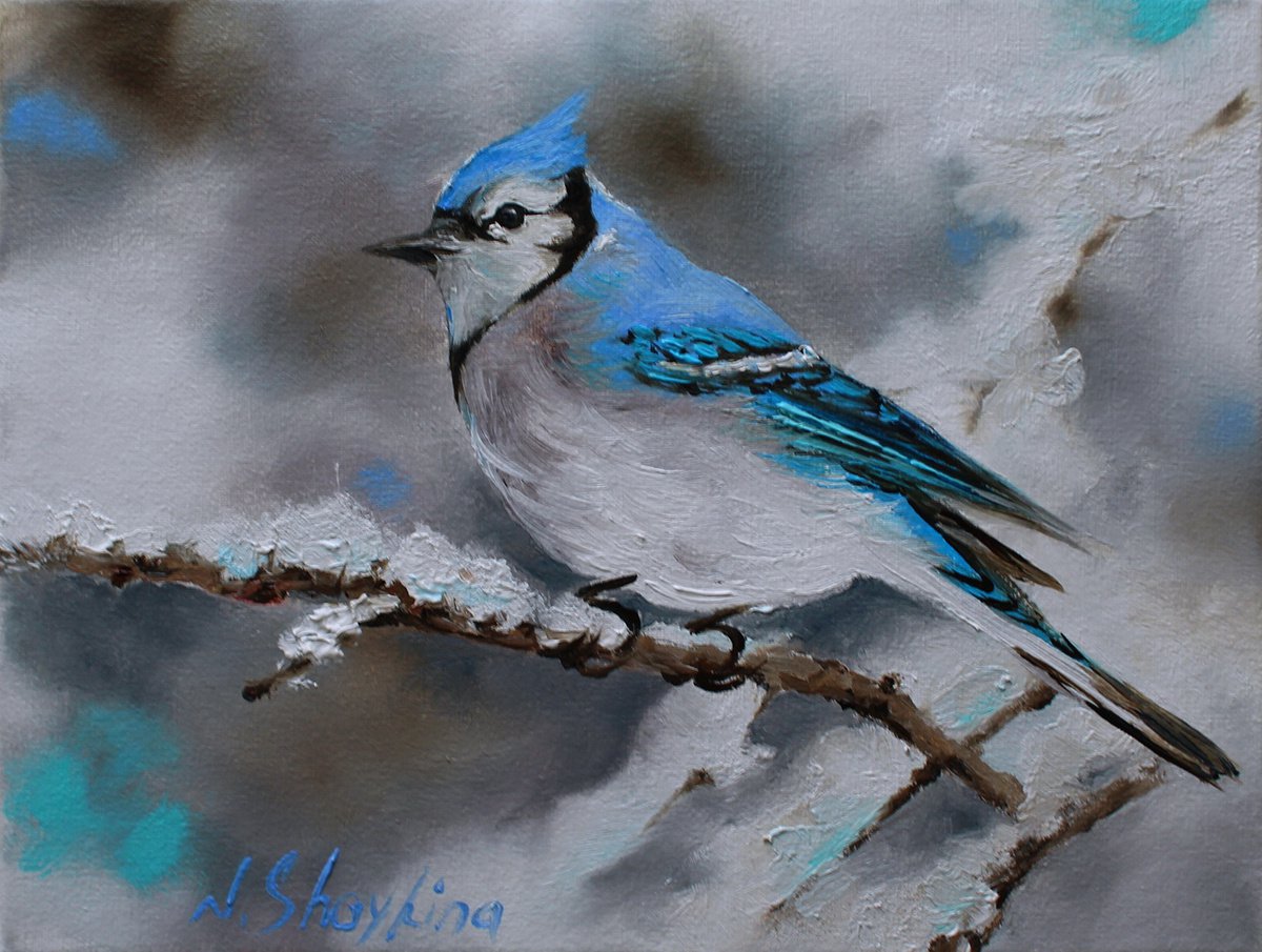 Blue Jay. Original painting oil on canvas by Natalia Shaykina