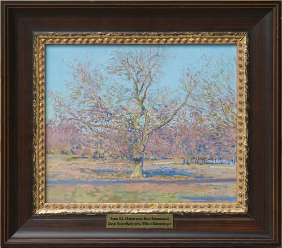 In early spring. Willow tree