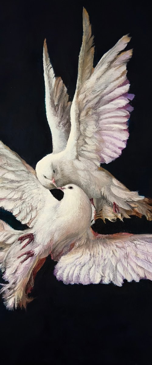 Quiet Devotion by Paul Hardern