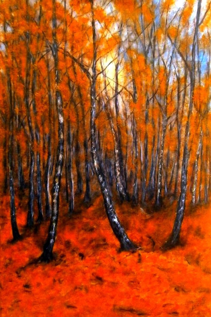 Forest in the autumn.. by Emilia Urbanikova