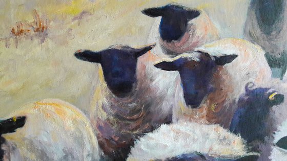 Flock of Sheep, Evening
