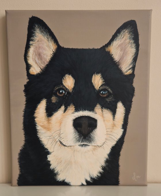 Commision pet portrait