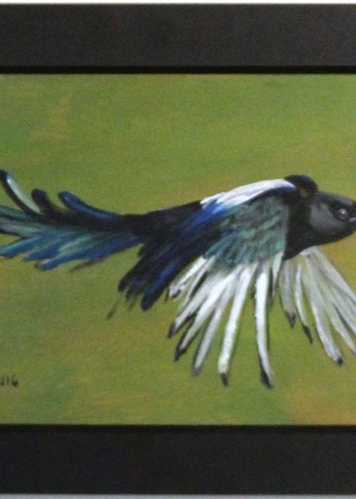 Magpie in Flight by Ellen Wilkinson