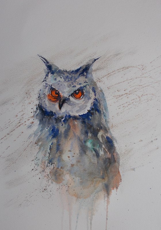 owl