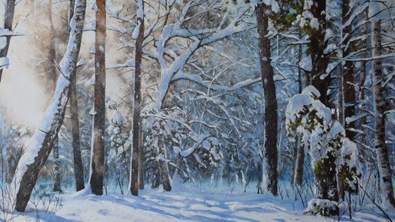 Winter Woodland Snow Scene