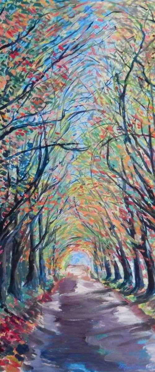 Avenue Of Trees Near Dunino, Fife by Stephen Howard Harrison