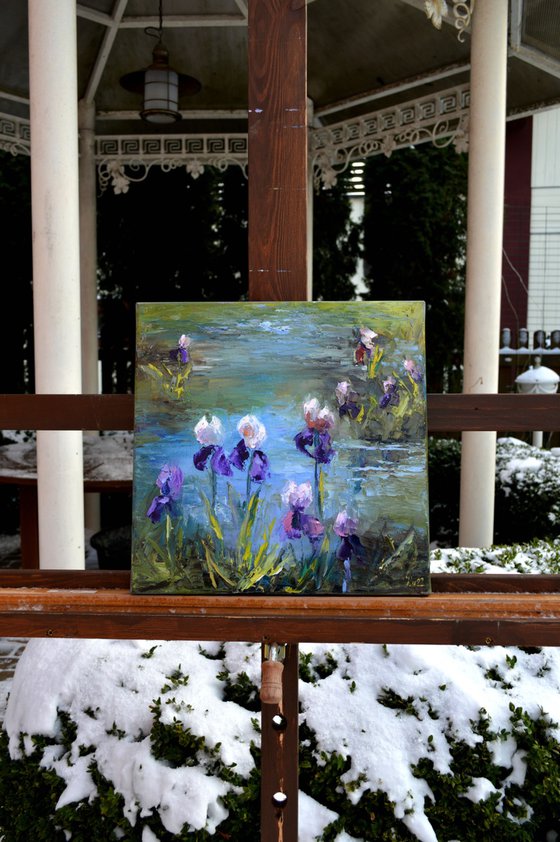 Pond with irises