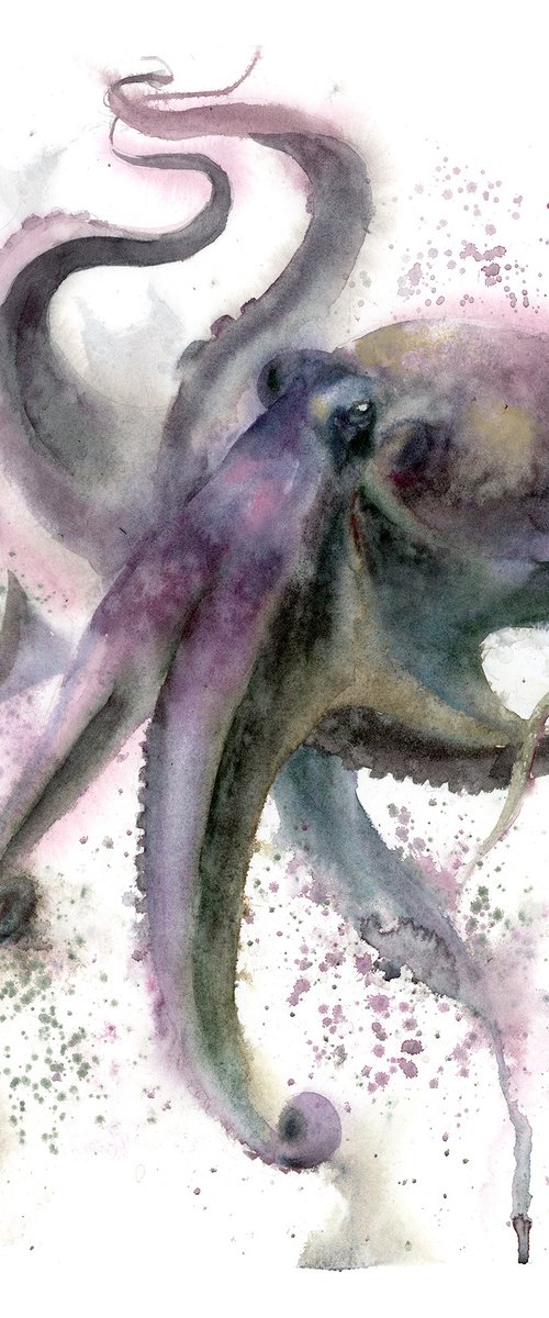 The octopus by Olga Tchefranov (Shefranov)
