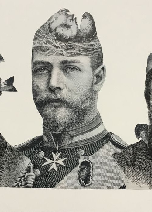 Beards by Tudor Evans