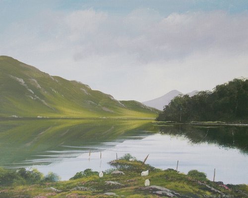 reflections in july by cathal o malley