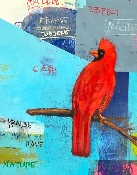 Cardinal