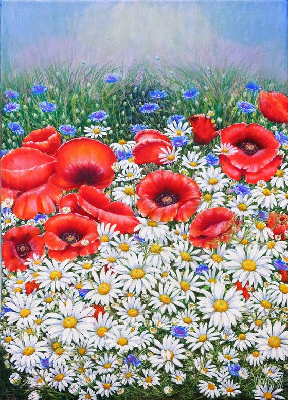 Poppies and Daisies