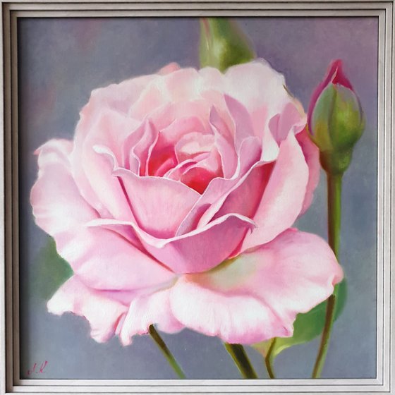 "Sounds of tenderness."  rose flower  liGHt original painting  GIFT (2021)