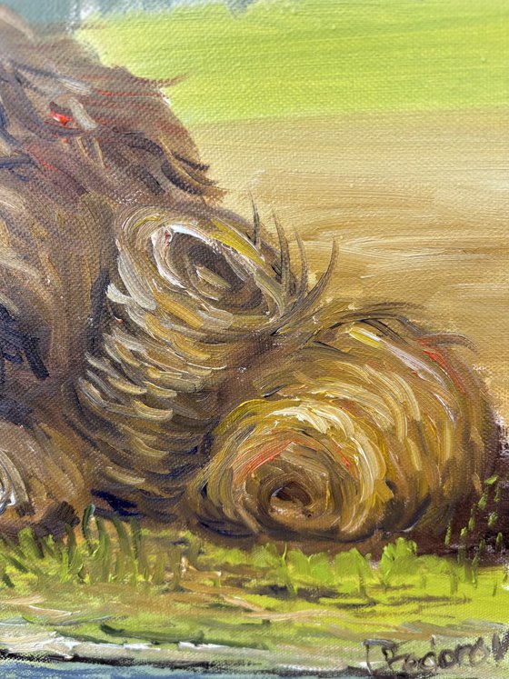 Hay bales. Plein air