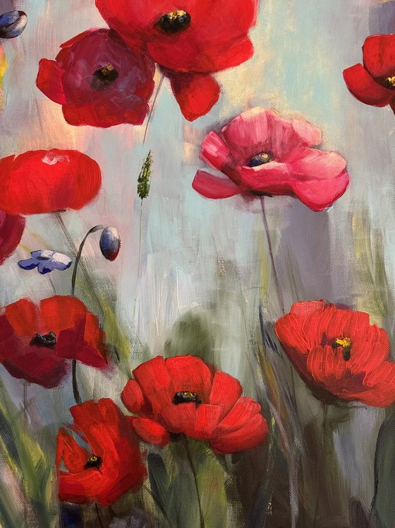 Poppies Land 12