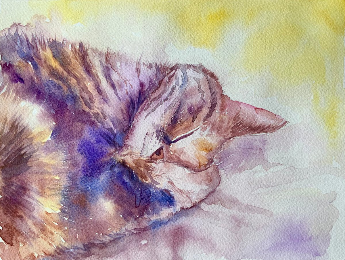 Cat nap by Mary Stubberfield