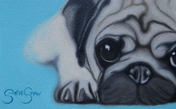 Pug Love ( oil on paper )