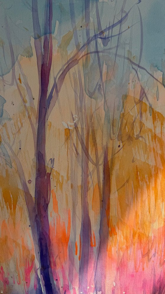 Day 3 quiet woodland
