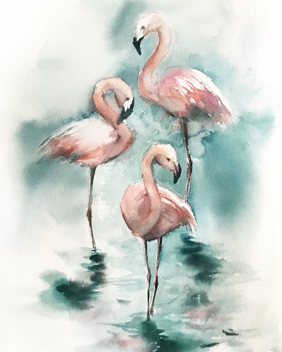 Flamingos