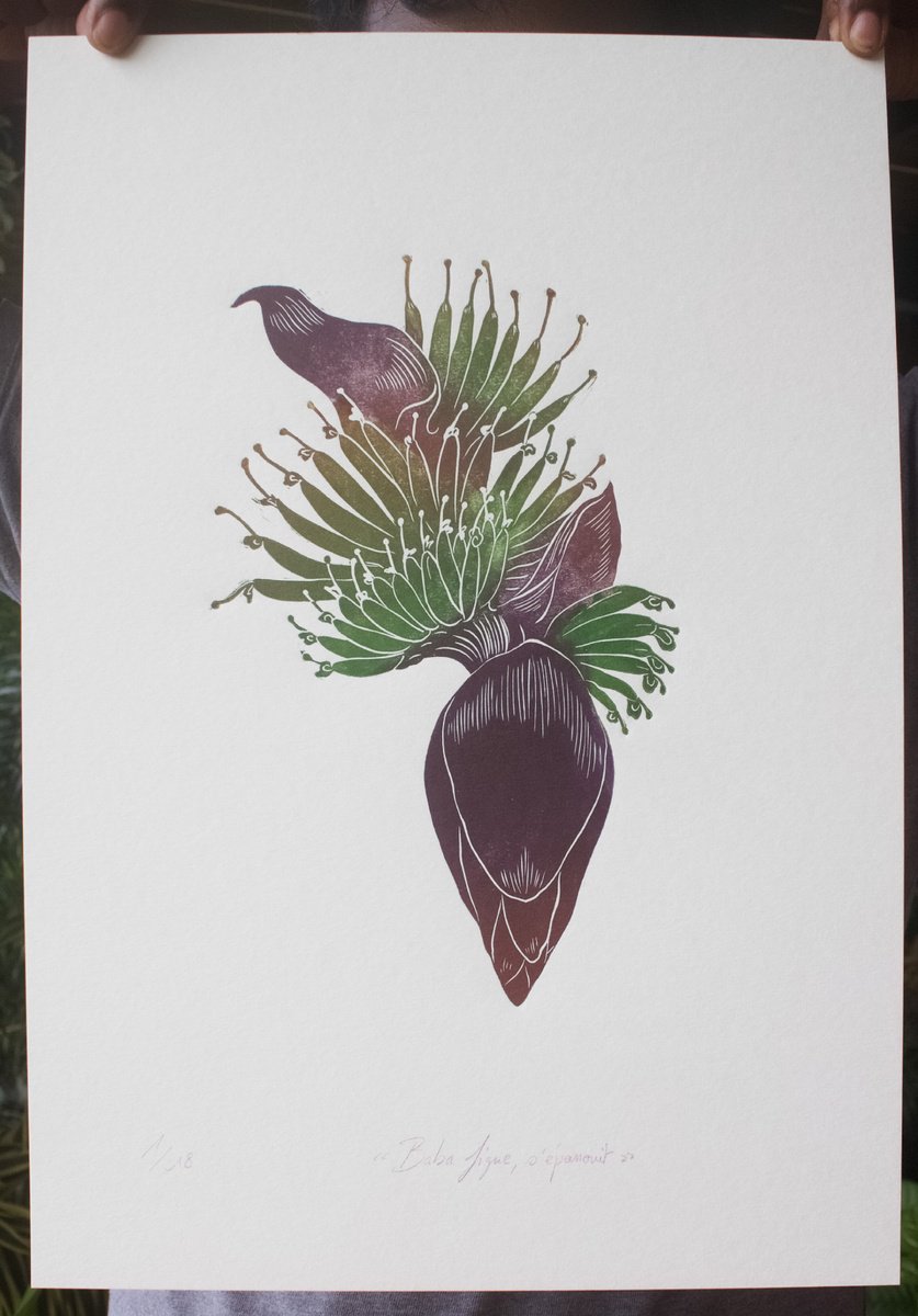 Illustrative Botanical Linocut By Rung Tsu Chang, 11 X 16", Baba Figue, S