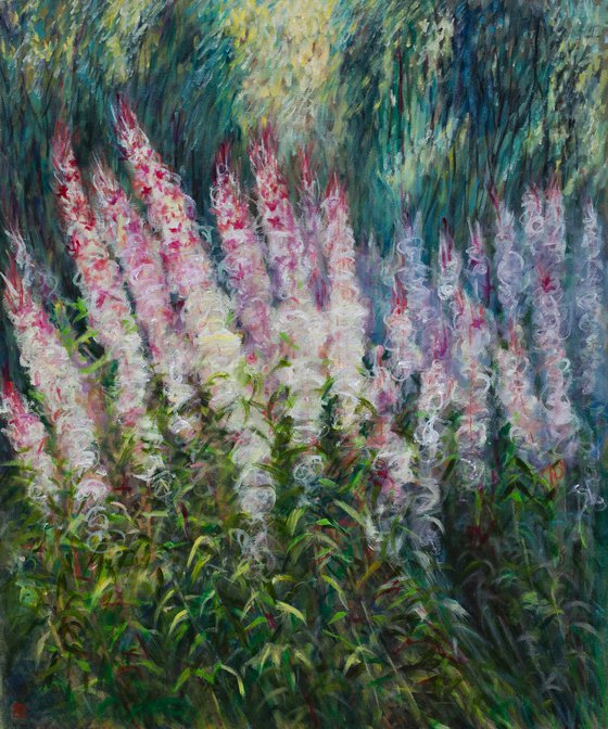 Willowherbs