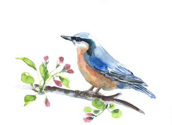 Spring bird watercolor