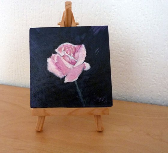 Pink Rose