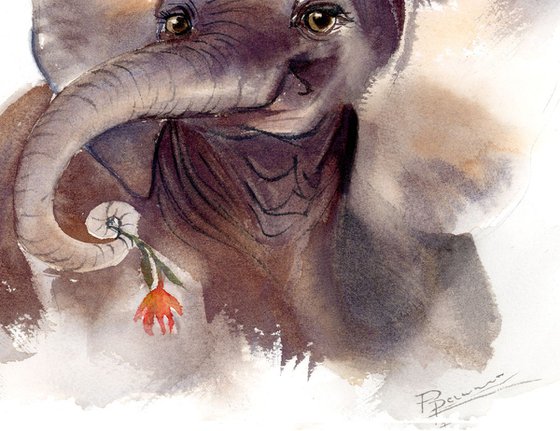 The elephant portrait