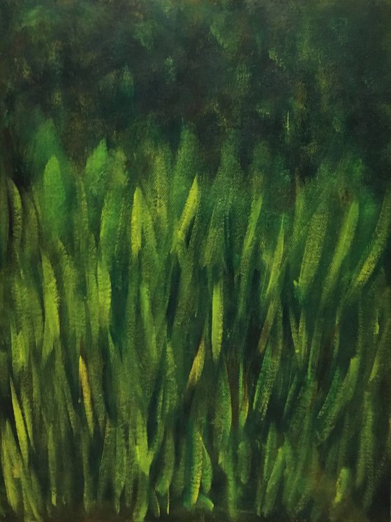 Grass in the green