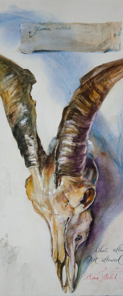 Goat skull by Irina Bibik-Chkolian